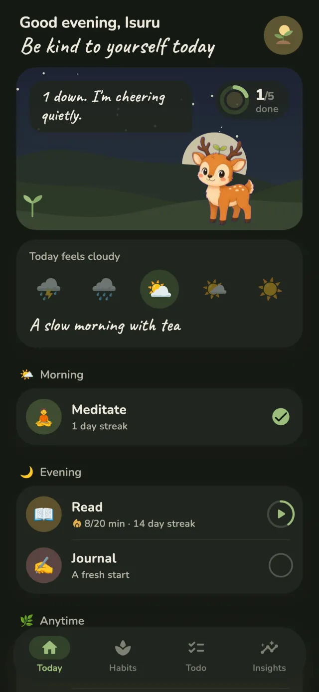 Petite Habits in evening mode with Pip asleep under the stars